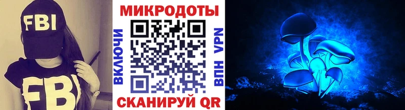 Галлюциногенные грибы Psilocybine cubensis  где можно купить наркотик  Судогда 