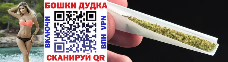 блэк спрут зеркало  Судогда  Бошки марихуана план 